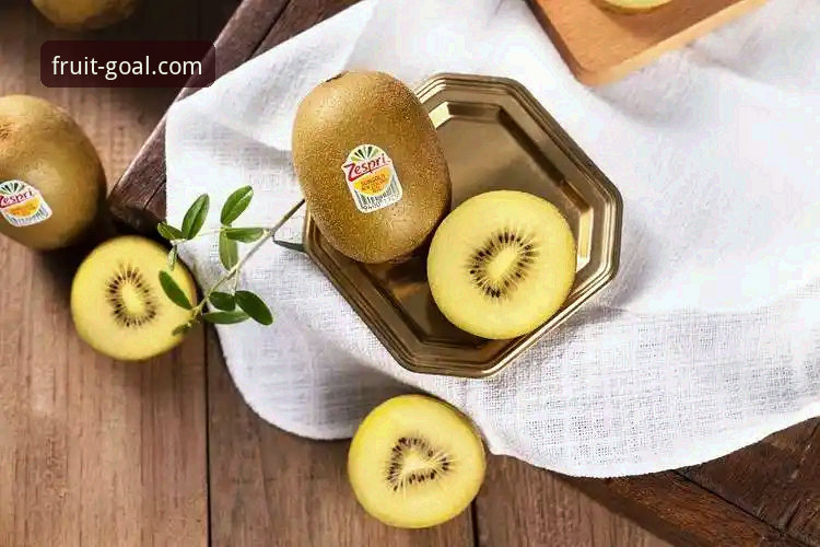 奇异果买球APP最新版下载哪个好 奇异果买球平台使用必备知识:APP版本选择实用指南